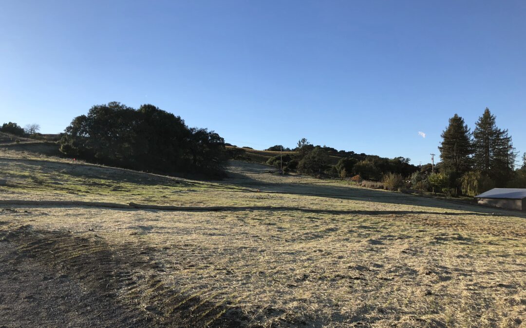 Cleared field after vineyard drainage completed