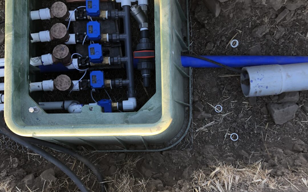 Irrigation manifold in subsurface box