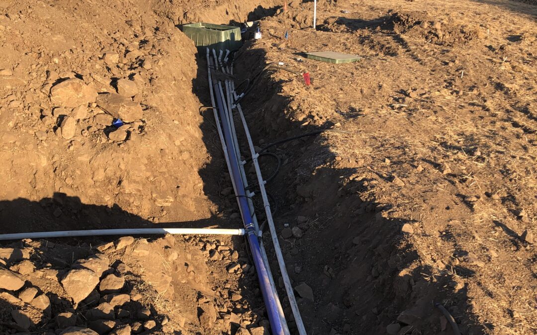 Irrigation pipes in trench