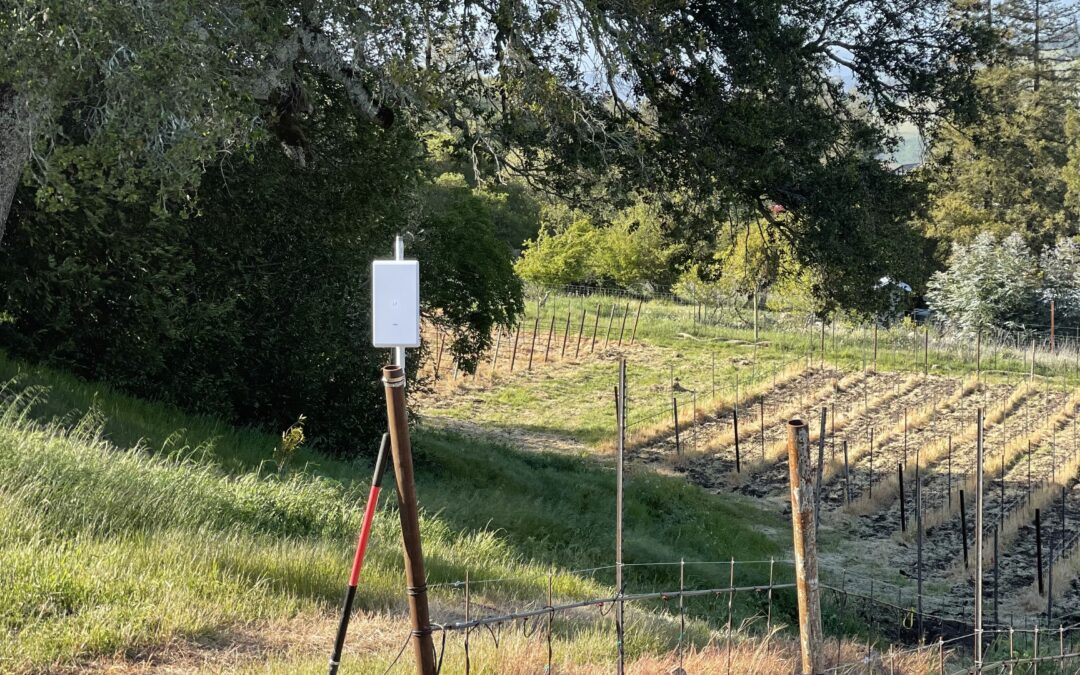 WiFi mesh antenna in vineyard