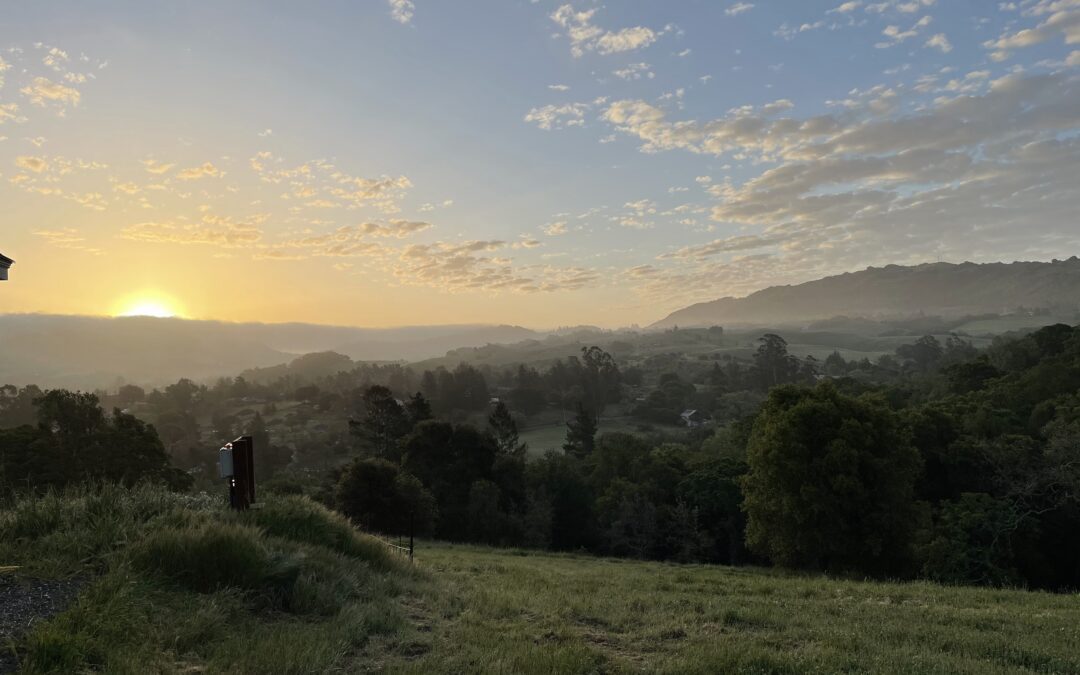 Sunrise in Bennett Valley