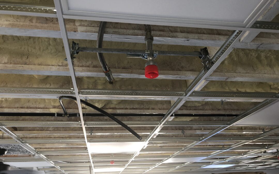 Suspended ceiling and lights